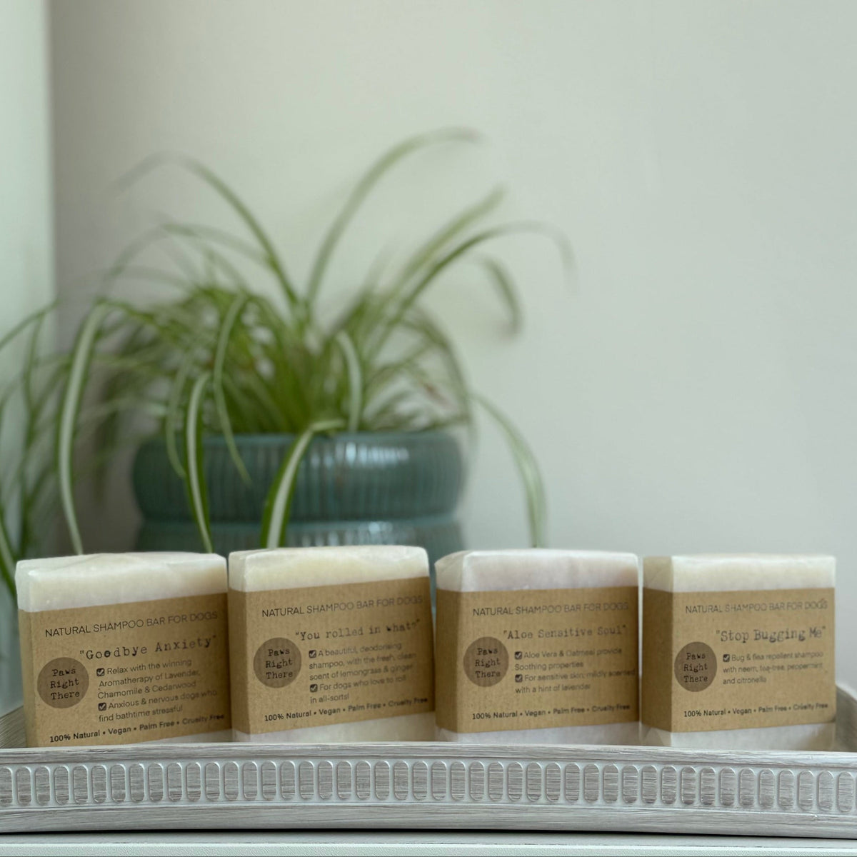 'You Rolled in What?!' Dog Shampoo Bar (80 g)