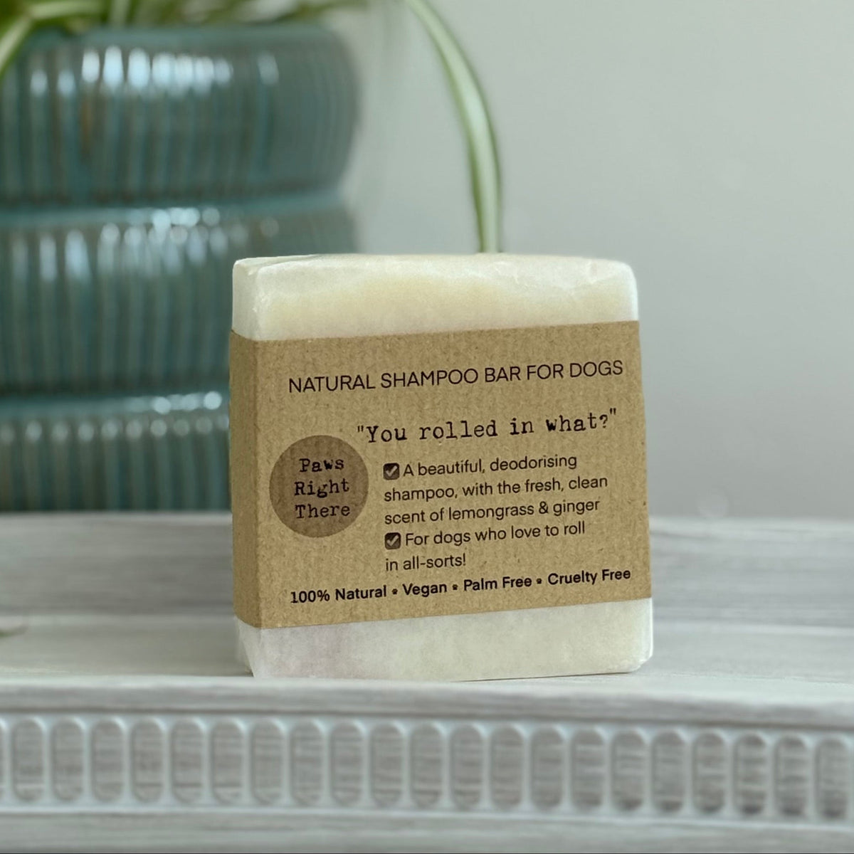 'You Rolled in What?!' Dog Shampoo Bar (80 g)