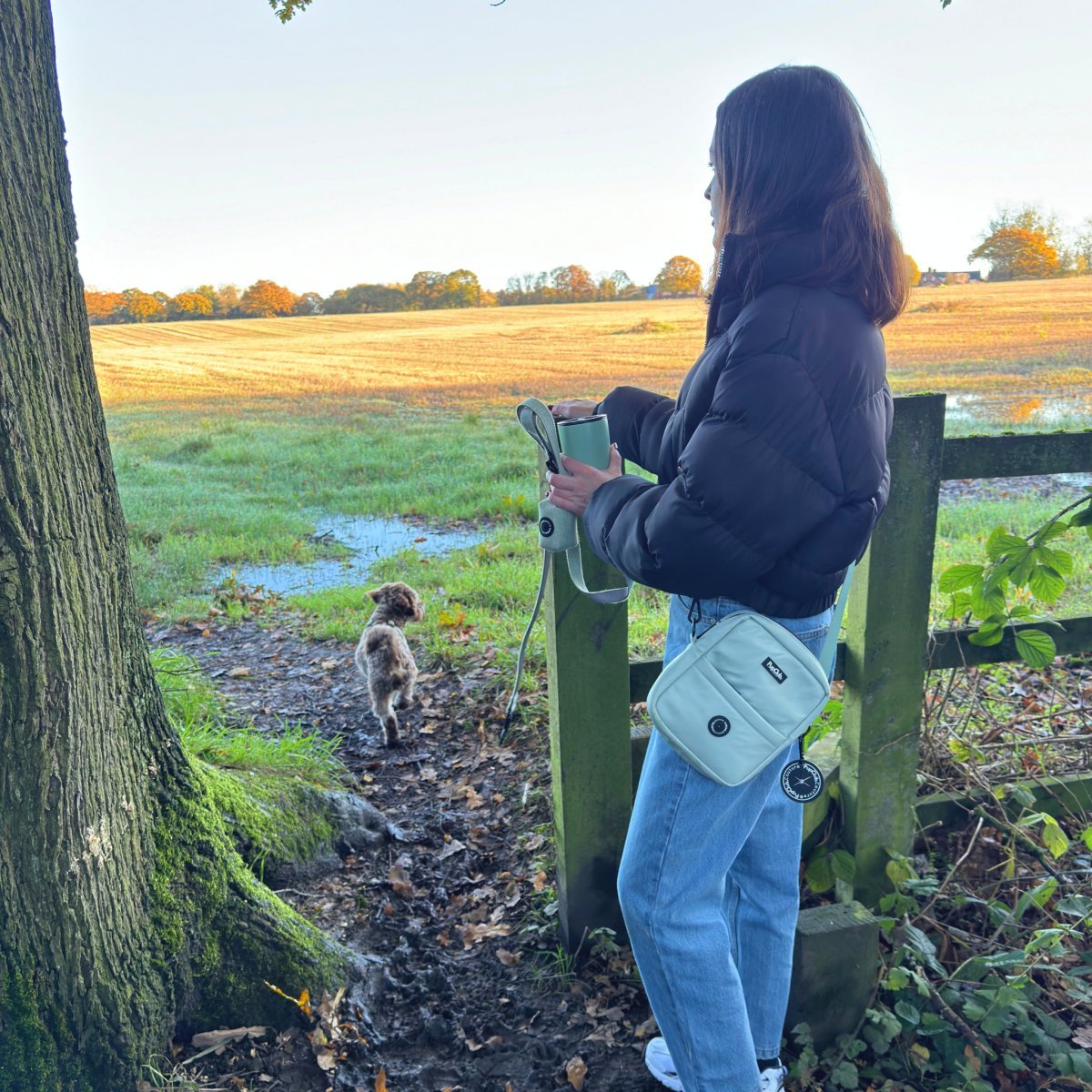 Sage Green Mini Dog Walking Bag