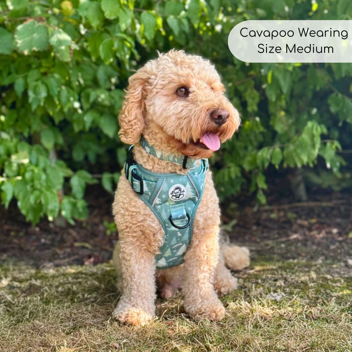 Evergreen Trails Rugged Rover Dog Harness