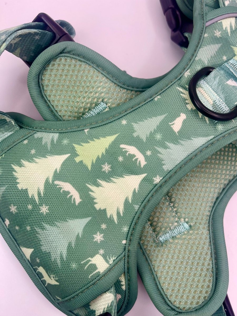 Evergreen Trails Rugged Rover Dog Harness