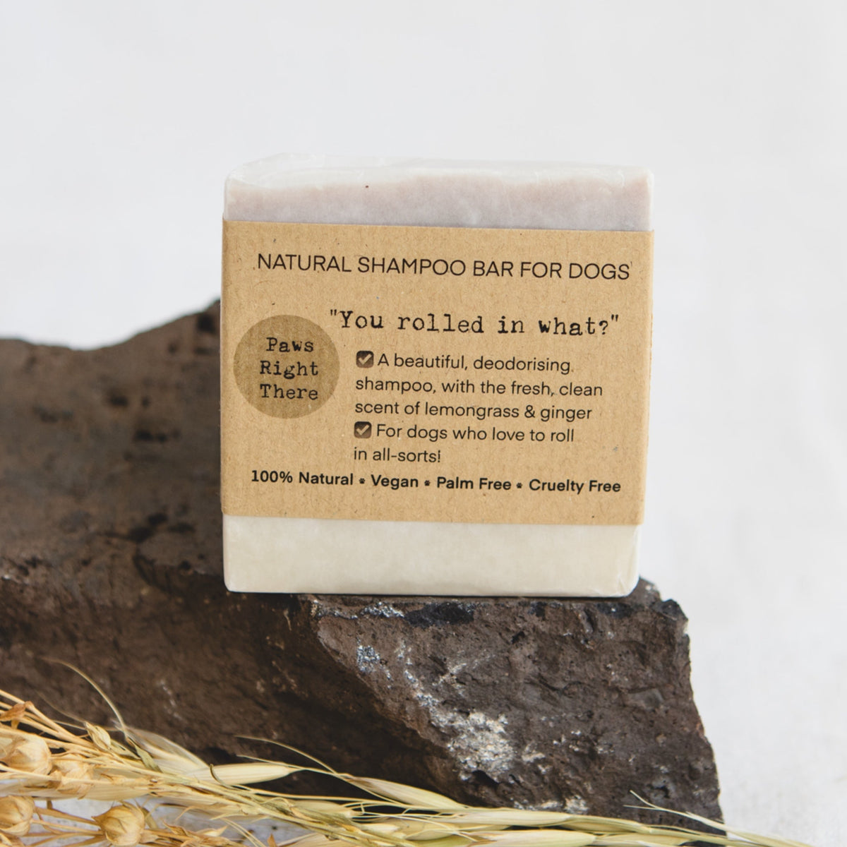 'You Rolled in What?!' Dog Shampoo Bar (80 g)